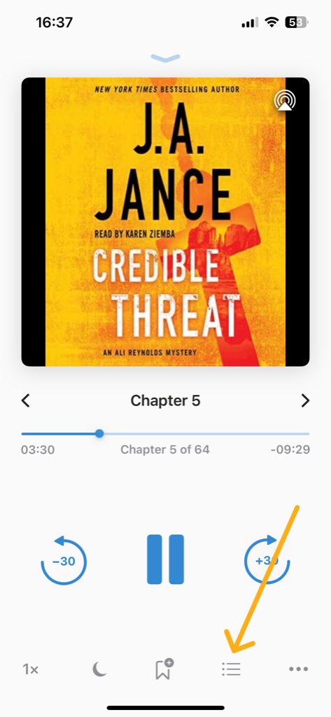 Chapter list inside the app